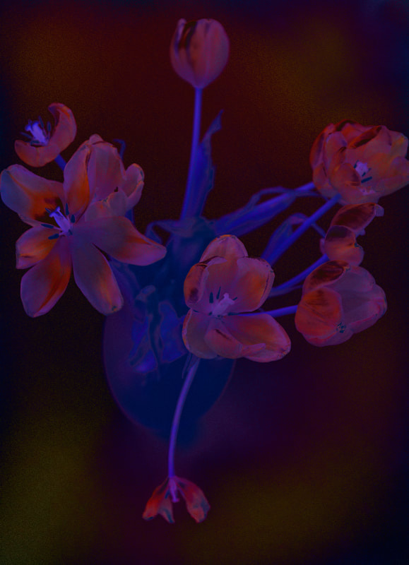 Manipulated image of tulips.